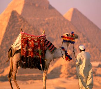 Camel with woven saddle cloth being led towards pyramids by man in white robe in the evening, at Giza, UNESCO World Heritage Site, Egypt, North Africa, Africa